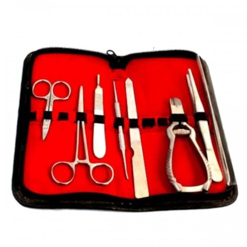 Dental Kits