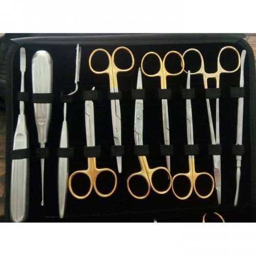 Dental Kits